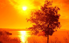 Summer wallpapers20